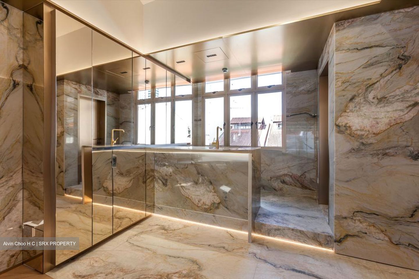 Boat Quay Conservation Area (D1), Shop House #501153161